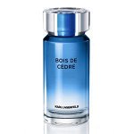 LAGERFELD Bois de Cedre men tester 100ml edt туалетная вода мужская Тестер