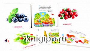 Умный чемоданчик. овощи, фрукты, ягоды