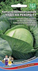 Капуста б/к Чудо на рекорд F1 (УД) (Позднеспелая, крупнокочанная, до 15-16 кг, для квашения и засола)