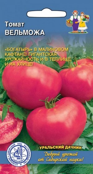 Томат Вельможа (УД) (Средний,детерм,70-90 см,сердцевидный,малиновый,до 600 г)