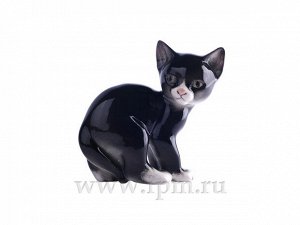 СК-РА  Кошка  Черный  МН1