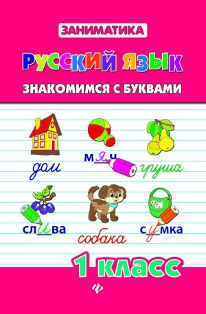 Русский язык.Знакомимся с буквами.1 класс 47стр., 144х200х3 мммм, Мягкая обложка