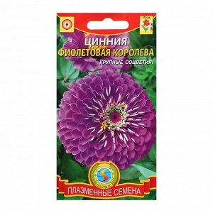 Семена цветов Цинния "Фиолетовая королева", 0,3 г