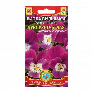 Семена цветов Виола "Велюр", пурпурно-белая, 10 шт
