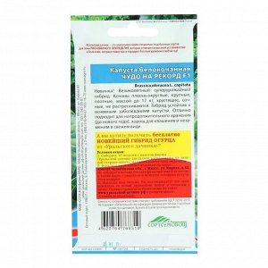 Семена Капуста "Чудо на рекорд" F1 позднеспелый,крупнокочанный,для квашения, 0,3 г