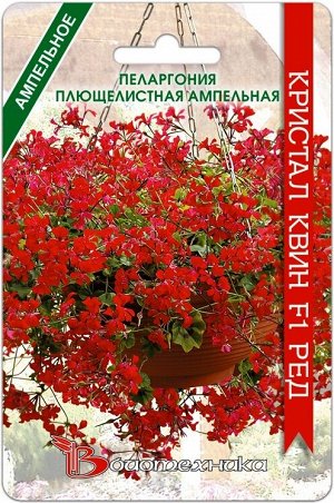 Пеларгония плющелистная ампельная Кристал Квин F1  Ред 5 шт.