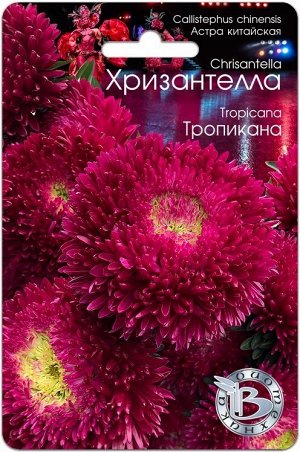 Астра китайская Хризантелла Тропиканка 30шт Биотехника