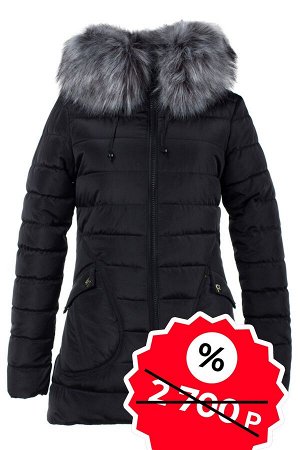 Куртка зимняя (Синтепух 350) SALE