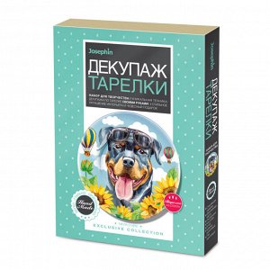 Декупаж тарелки Мечта о небе 560965