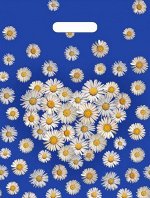 Пакет Ромашки на синем 31*40 9177