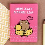 Блокнот &quot;Меня ждут великие дела&quot;, А7, твёрдая обложка, 64 листа