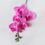 Орхидея Фаленопсис (5 цветков). Искусственный цветок.