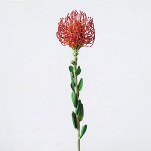 Леукоспернум. Искусственный цветок.