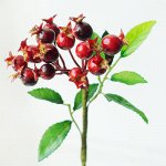 Ягоды шиповника.Искусственные растения