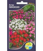 цветы