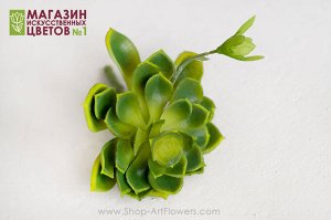 Суккулент 6. Искусственные растения