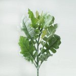 Цинерария.Искусственные растения