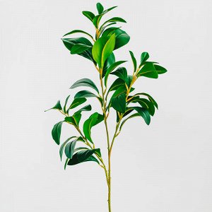 Ветка фикуса (зеленый). Искусственные растения