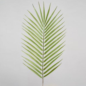 Лист пальмы ,53 см.  Искусственное растение