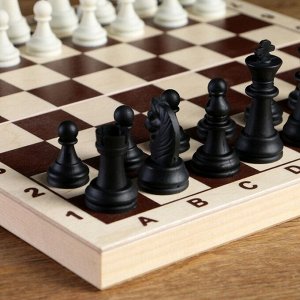 СИМА-ЛЕНД Шахматные фигуры, король h-6.2 см, пешка h-3.2 см, черно-белые