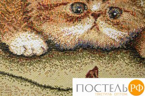 С 2074 Чехол декоративный "Персидские котята" на молнии (0,50*0,50)