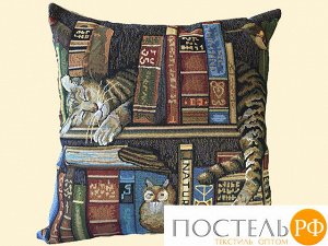 С 4309 Чехол декоративный "Библиотекарь" на молнии (0,50*0,50)