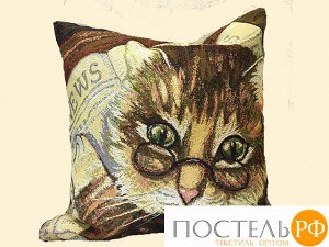 С 4335 Чехол декоративный "Кот ученый" на молнии (0,50*0,50)