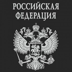 Футболка Патриотическая футболка «Российская Федерация» – Двуглавый Орел круче любого бренда №101