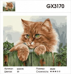 Картина по номерам на подрамнике GX3170