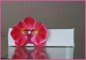 Орхидея розовая…