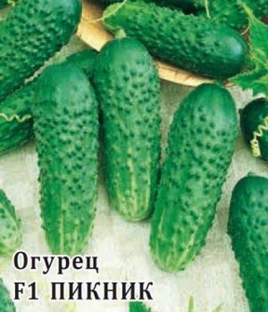 Огурец Пикник F1