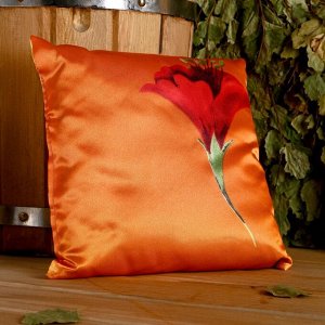 Подушка сувенирная, 22-22 см, хмель,липовый цвет, микс