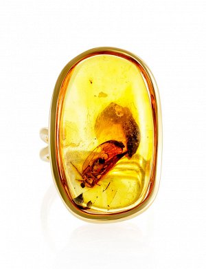 Эффектное кольцо из янтаря с инклюзом в позолоченной оправе «Клио», 010001059