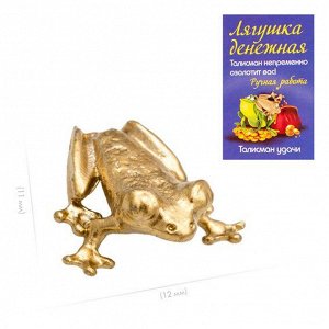 Лягушка кошельковая, золотая ОL0024