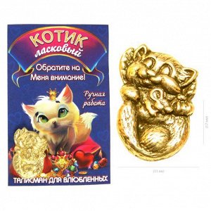 Кошельковый котик ласковый, золото, сувенир ZL057