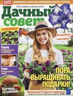 ДАЧНЫЙ СОВЕТ 24/19