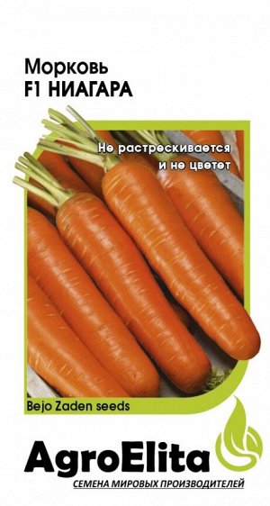 Морковь Ниагара F1 0,3 г (Бейо) Н20 А/э
