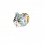 Пин Grey Funny Cat pin