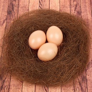 Набор яиц для декорирования, 3 шт в гнезде, цвет коричневый