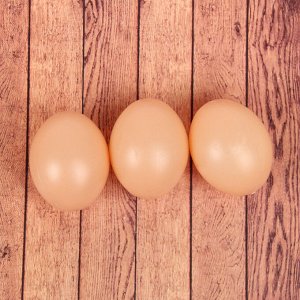 Набор яиц для декорирования, 3 шт в гнезде, цвет коричневый