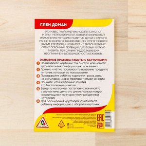 Обучающие карточки по методике Г. Домана «Продукты питания», 12 карт, А6