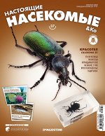Журнал НАСТОЯЩИЕ НАСЕКОМЫЕ №37 КРАСОТЕЛ