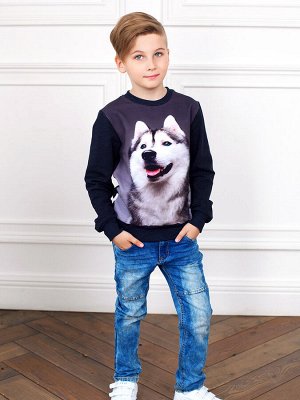 Джемпер (свитшот) детский для мальчика с принтом без начеса длинный рукав Хаски цвет Графитовый