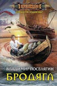 Поселягин В.Г, Бродяга, 288стр., 2018г., тв. пер.