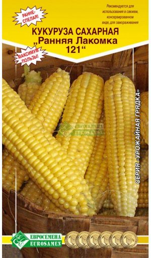 Кукуруза сахарная «Ранная лакомка 121»  (5гр)