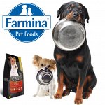 Любимый корм Farmina, лакомства, витамины, гигиена и игрушки