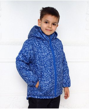 Куртка для мальчика на осень-весну 75916-МЗ16