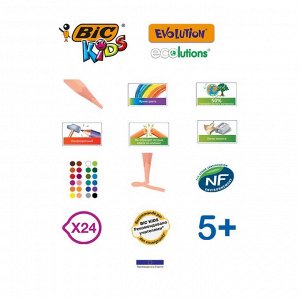 Карандаши 12 цветов BIC Kids Evolution ECOlutions, пластиковые