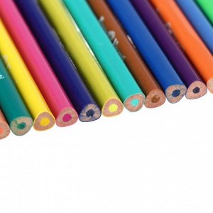 Bruno Visconti Карандаши цветные 36 цветов Funcolor пластиковые, в картонной тубе, микс из 4 видов