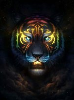Набор подарочный